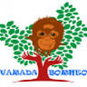 Orangutan Tour Tanjung Puting by Varada Borneo