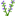 Vaccinium - English speaking general practitioner in Prague 1