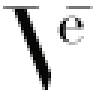 Vē shoes
