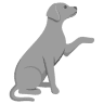 Veazie Veterinary Clinic: Cloutier, Keene, McCaw, Tardiff