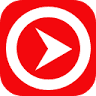 Vectorimpacto