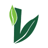 Vedicure Wellness Clinics and Hospital