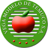 Vega Modelo de Temuco S.A.