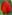 Veldheer Tulip Gardens