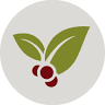 Veloso Coffee