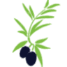 Venice Olive Oil Co.