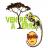 ventre à terre - reptile bar