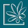 Venture Fiji