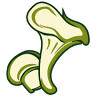 Verbruggen Paddestoelen B.V.