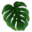 Verdant Dwellings