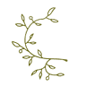 Verdello Olive Oils & Fine Foods