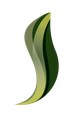 Verde Shop Store
