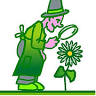 Ver'fleurs
