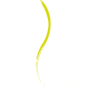 Pole dance studio VERTIGO POLE FITNESS