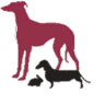 Veterinary Emergency & Surgery Hospital