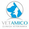 VETAMICO Veterinary Center
