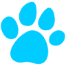 Clinica veterinaria VetDom