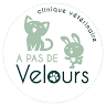 Clinique vétérinaire dédiée aux chats, lapins et rongeurs 
