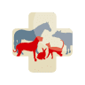 Clinique Veterinaire des Sables