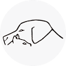 Veterinaria Montilla
