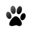Veterinaria Axis