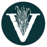 Vetiver