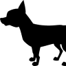 Lagínová Hana DVM.