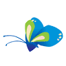 Ulysses Veterinary Clinic Cairns