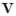Frank Vatterott, Attorney