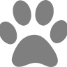 Vi-Vet ltd