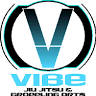 Vibe Jiu Jitsu and Grappling Arts