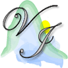 Vibrant Imaging