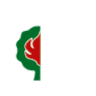 Vibrok