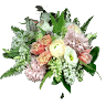 Viburnum Designs