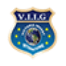 Victoria Invest International Group