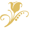Vida em Flor Boutique Floral e Decor