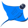 VideoRay LLC