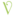 Vidoni