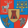 Primăria Viile Satu Mare