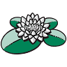 Vijverplanten webshop