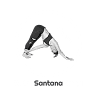 Vikky Santana Yoga Online