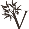 Fazenda Vila dos Eucaliptos
