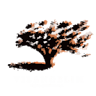 Vilangelim Eco-Pousada Imbassai - Bahia - Brasil