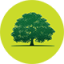 Loteamento Vila Nova de Extremoz