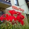 Apartments Villa Deja Jahorina