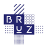 Mayor of Bruz