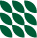 Vietnam Seed