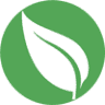 The Vine Wesleyan Church