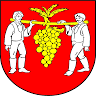 Obec Viničky