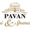 VINI PAVAN